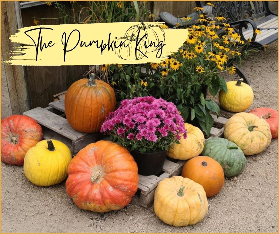 The Pumpkin King Blog Photo