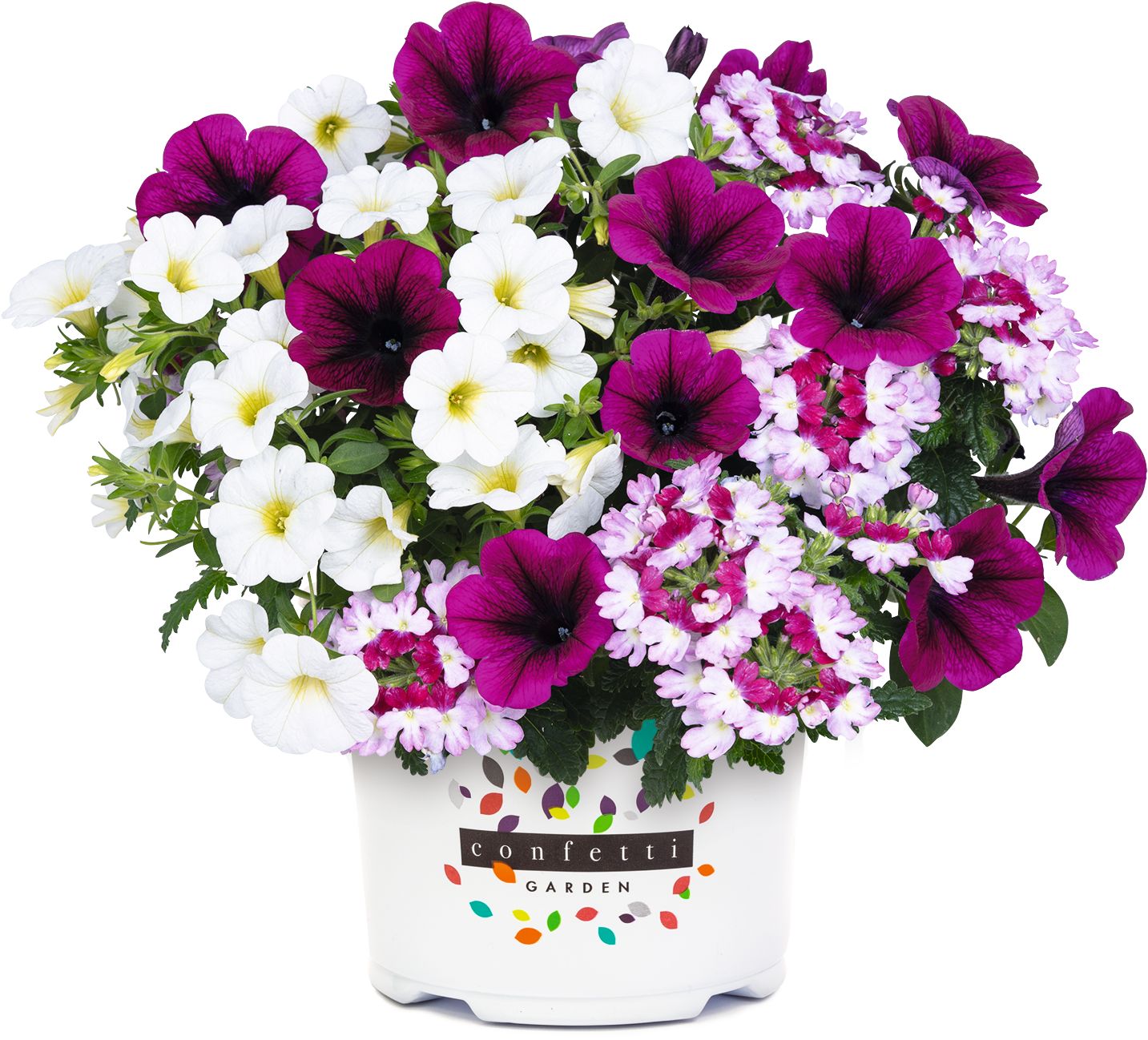 Confetti Berry Cobbler