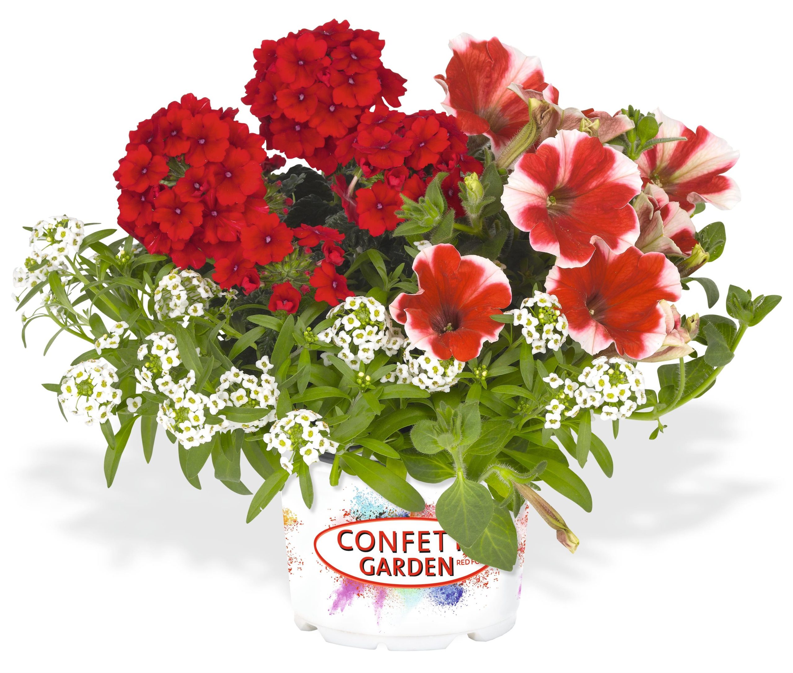 Confetti Glossy Strawberry