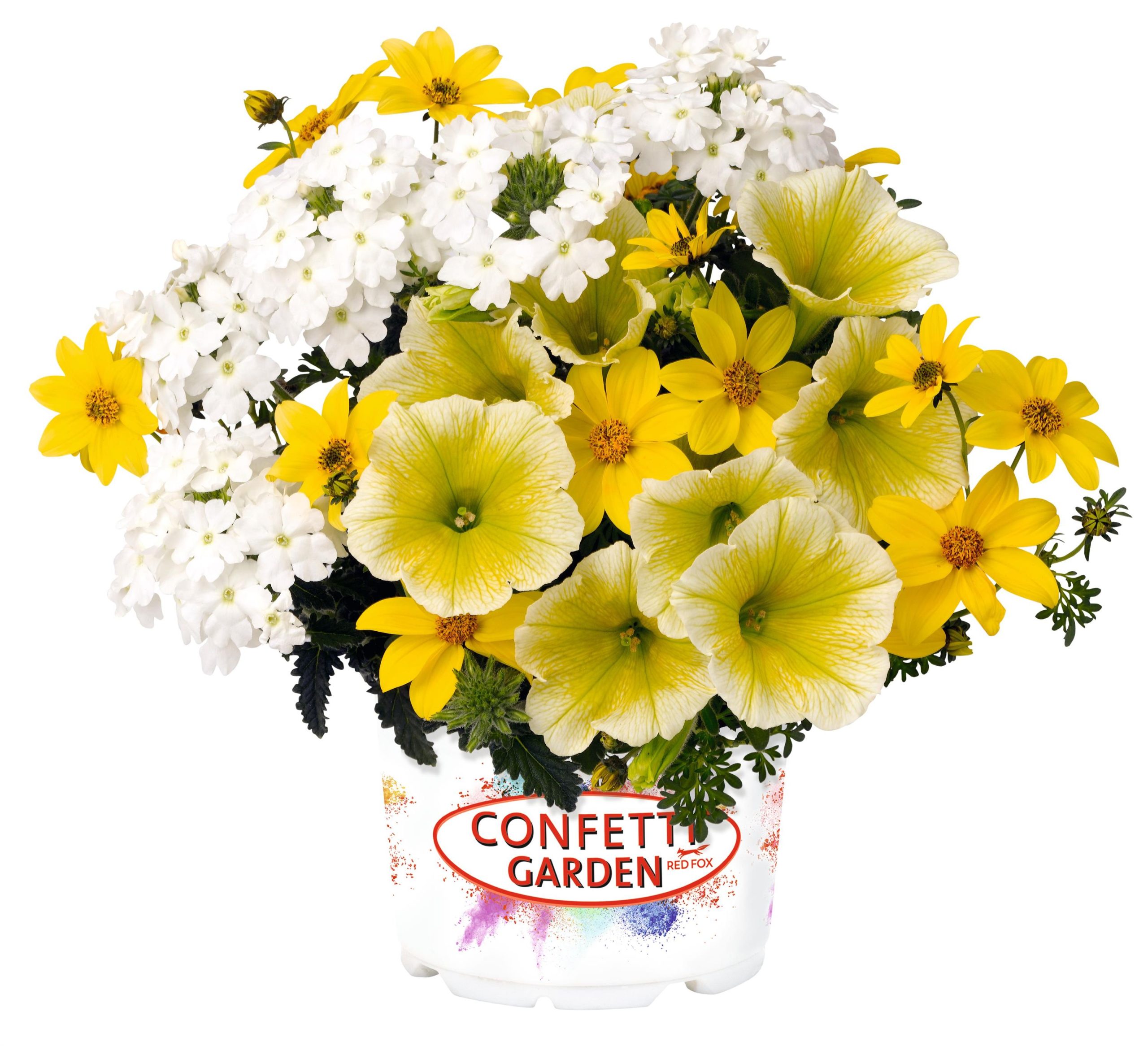 Confetti Pineapple Punch