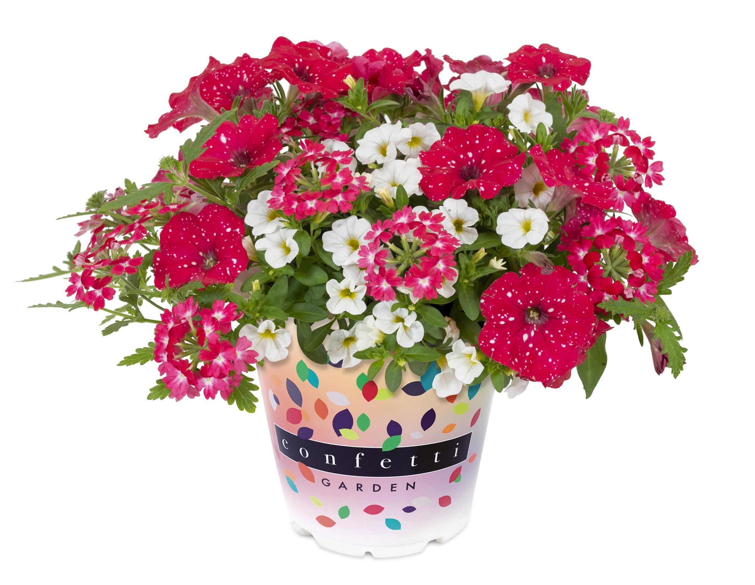 Confetti Sparkle Red