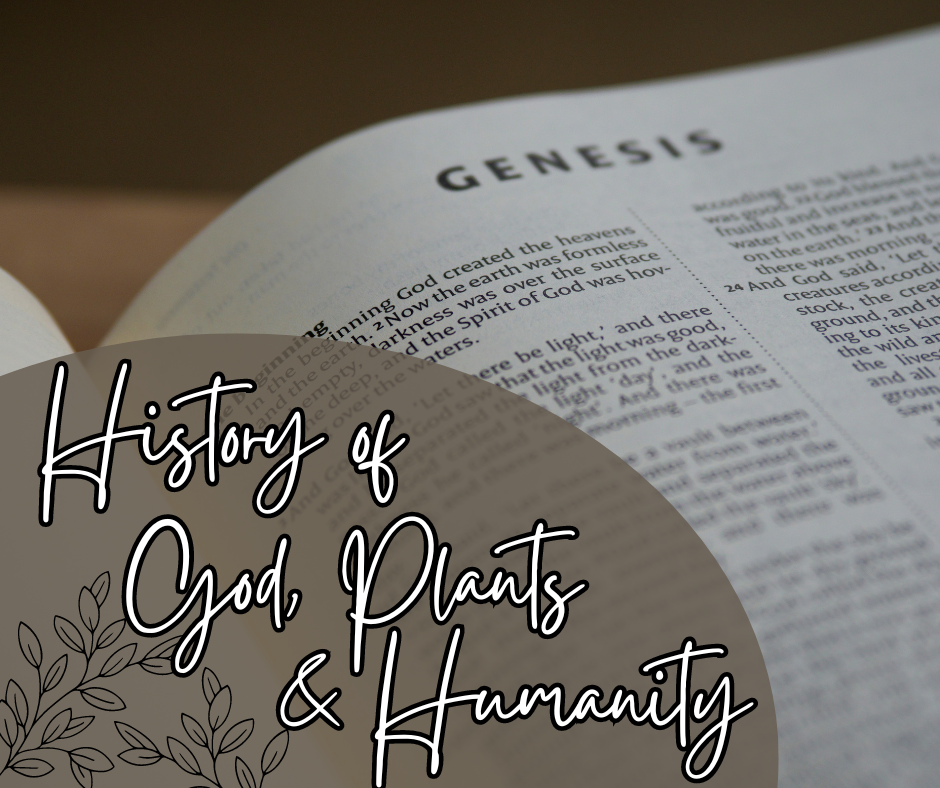 History Of God, Plants & Humanity